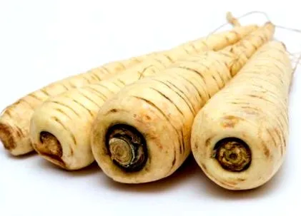 legume