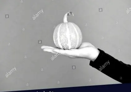 одмор
