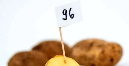 biológiai érték