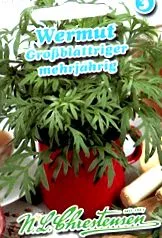 artemisia