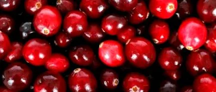 fructe iarnă