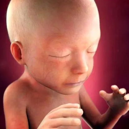 babycenter