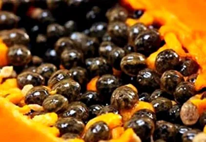 papaya