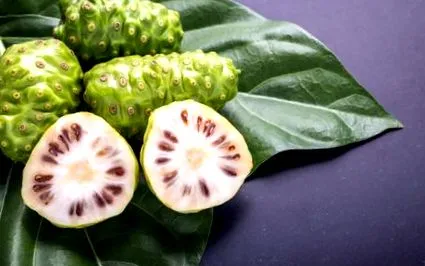 sleepberry