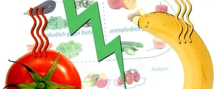 helytelenül
