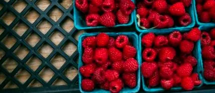 antioxidanți
