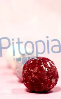 pitopia