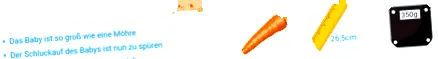 csecsemője