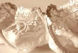 sânilor