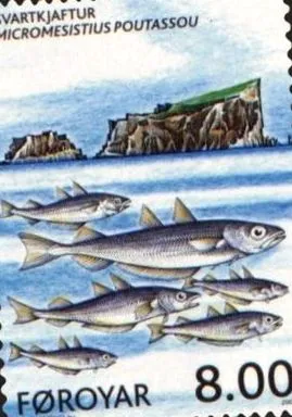 puha tőkehal