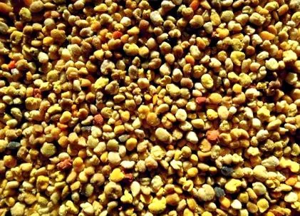 pollen