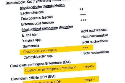 herzenskatzen macskákban