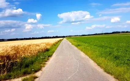 statisztika