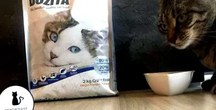 bozita