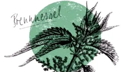 egészségéért