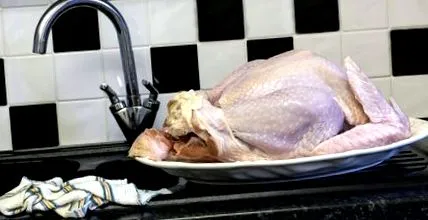 húsban baktériumokat