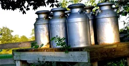 nutriție