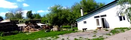 гостомел