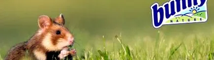 magevő kisméretű
