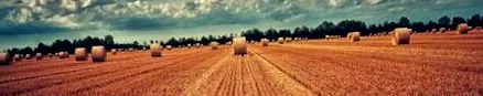când