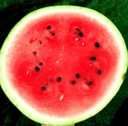 calorii
