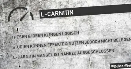 zsírégetést