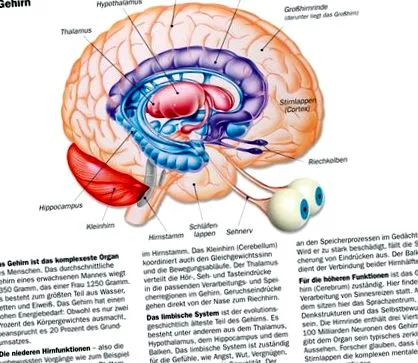 epilepsie