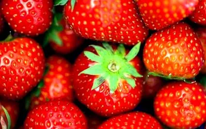 delicatese