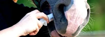 deworming