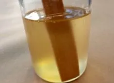 речник