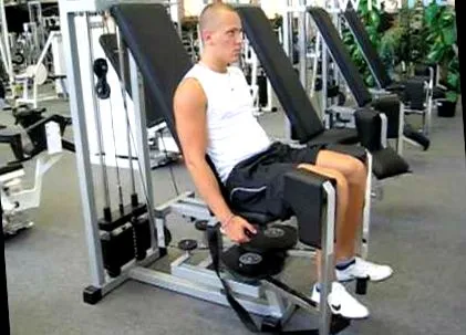 exerciții