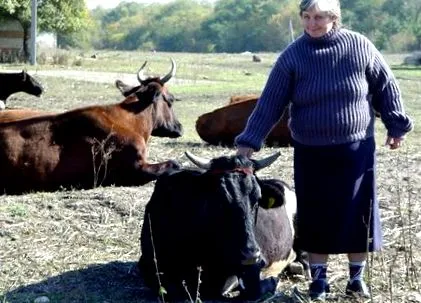 2012 година