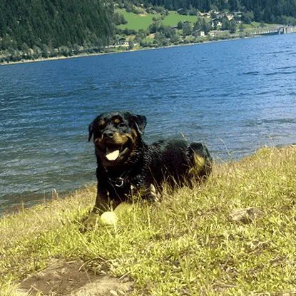 naturavetal