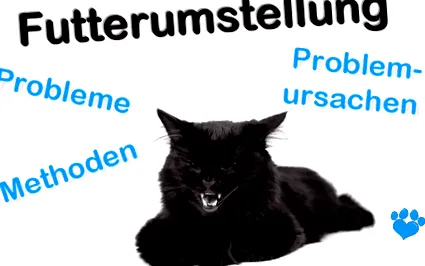 okok