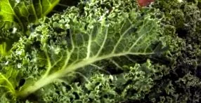 kale