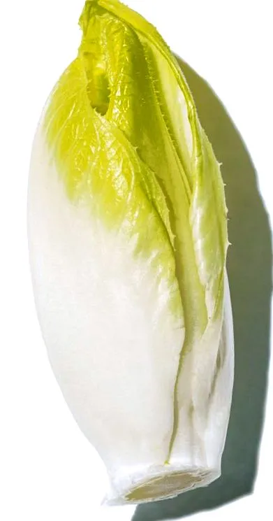greenpeace