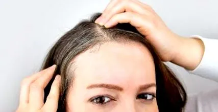 сиве