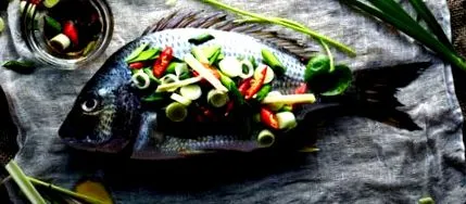 paleo bază