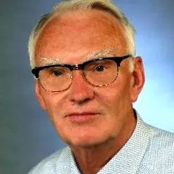 szakértői szakértői