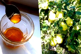 herbstskur răspunsuri
