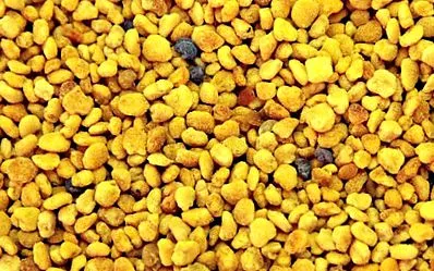 pollen