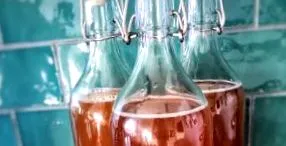 kombucha