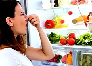 alimentelor