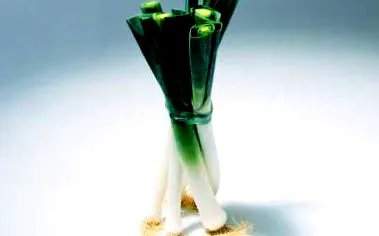 póréhagyma
