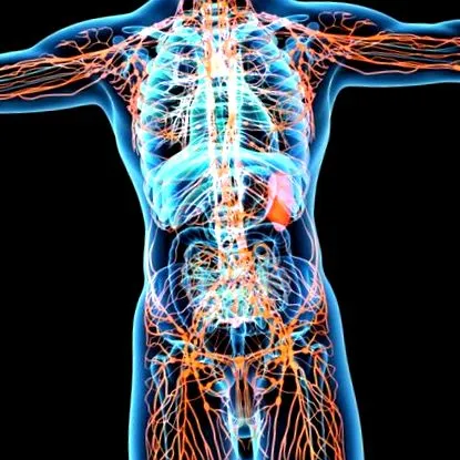veleszületett lymphedema