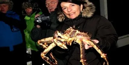 sikertörténet