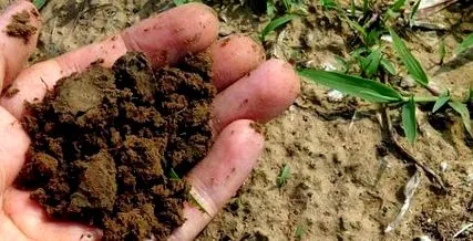 agricultură