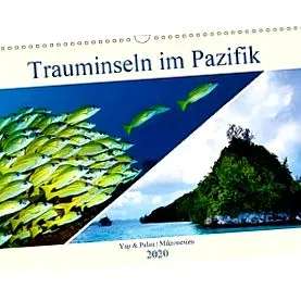 2020 micronesia