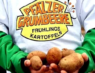 alimentația