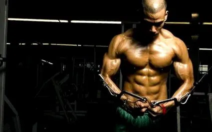 musculaturii
